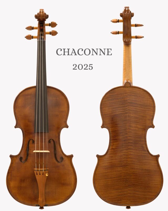 ヴィオラ HEER 弓 LUAN RUY シャコンヌ 一式　送料無料 ヴィオラ HEER 弓 LUAN RUY シャコンヌ 一式 送料無料 楽器・弓