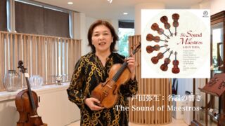分数フレンチオールドヴァイオリン レンタル開始しました - 弦楽器専門