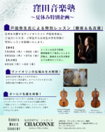 Viola - 弦楽器専門店シャコンヌ